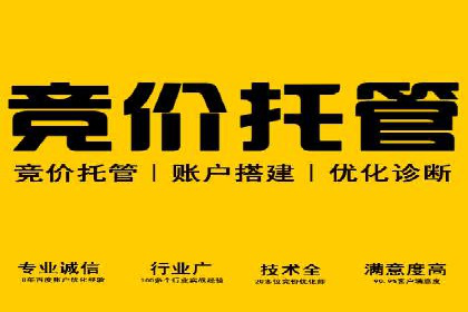 竞价推广SEM托管成功案例：提升品牌曝光度